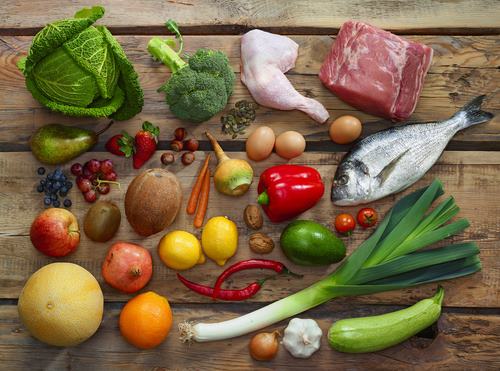 A Comprehensive Review of Diet Plans