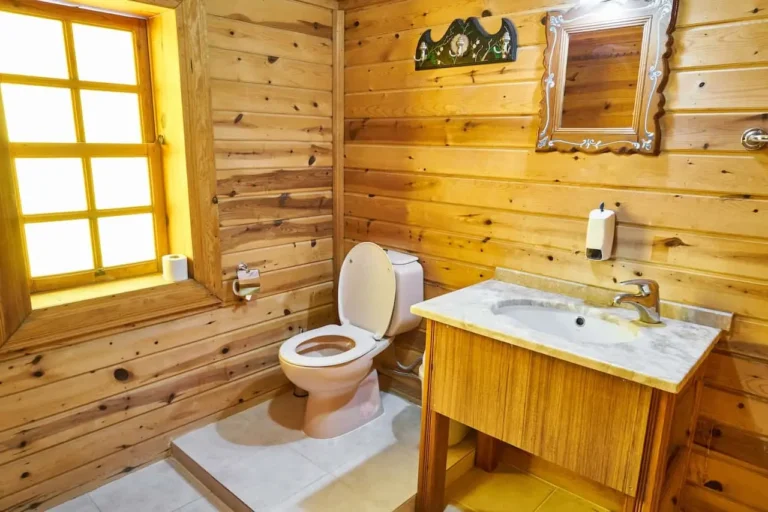 Top Trends in Western Toilet Commode Design